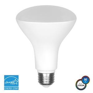 Euri Lighting - EB30-4050e - Light Bulb - Frosted