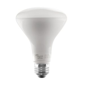 Euri Lighting - EB30-5020cec - Light Bulb - Frosted
