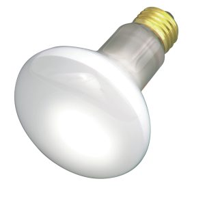 Satco - S2810 - Light Bulb - Frost