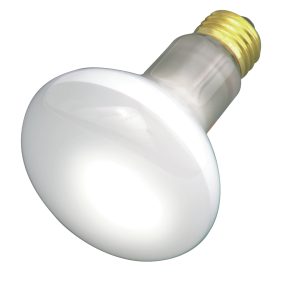 Satco - S3210 - Light Bulb - Frost