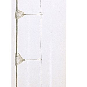 Satco - S3248 - Light Bulb - Clear