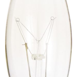 Satco - S3273 - Light Bulb - Clear