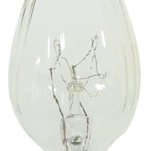 Satco - S3360 - Light Bulb - Clear
