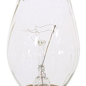 Satco - S3363 - Light Bulb - Clear