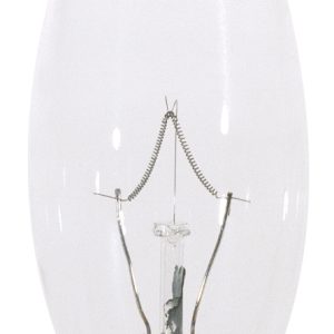 Satco - S3393 - Light Bulb - Clear