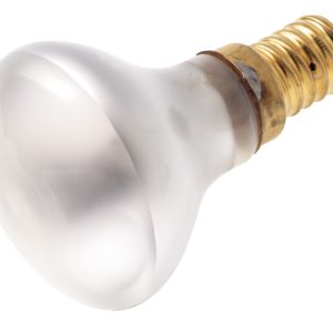 Satco - S3396 - Light Bulb - Frost