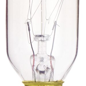 Satco - S3905 - Light Bulb - Clear