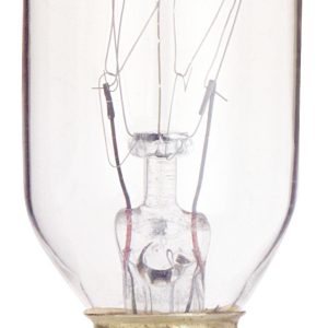 Satco - S3907 - Light Bulb - Clear