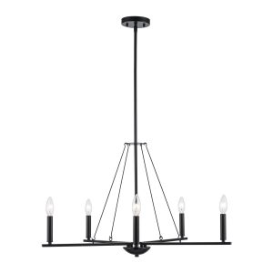 Trans Globe Imports - 11645 BK - Five Light Pendant - Linden - Black