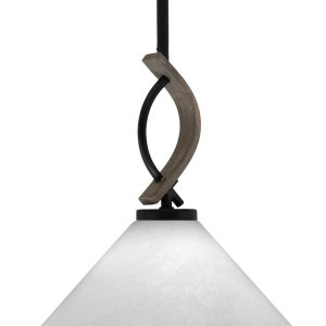 Toltec Lighting - 2901-MBDW-2121 - One Light Mini Pendant - Monterey - Matte Black & Painted Distressed Wood-look Metal