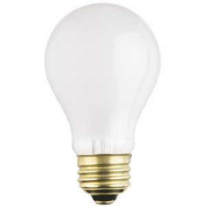 Westinghouse Lighting - 0410000 - Light Bulb - Light Bulb - Frost